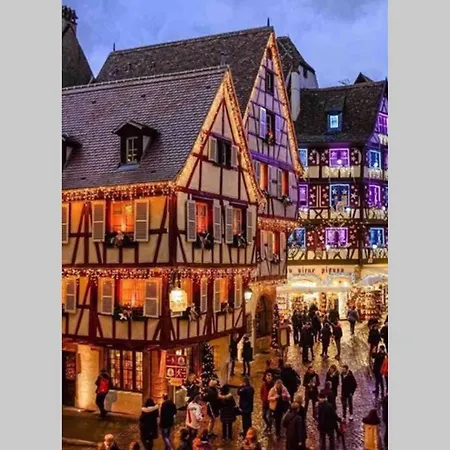 Coeur Alsace Apartment Colmar Exterior photo