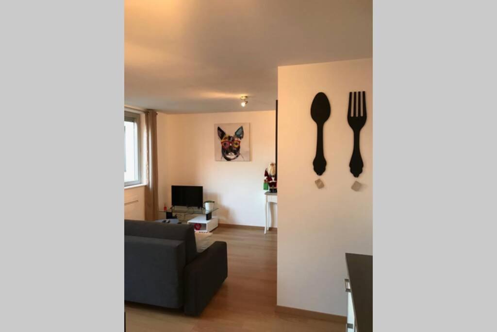 Coeur Alsace Apartment